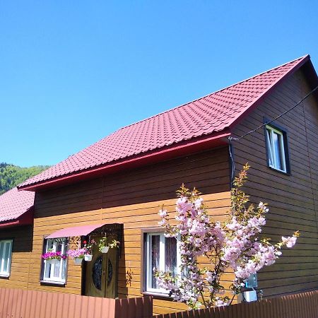 Відпочинок У Карпатах, Мінеральні Ванни, Банний Чан! Verkhnyaya Bystra Exterior foto