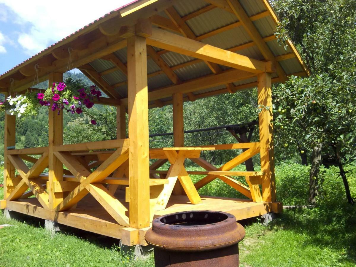 Відпочинок У Карпатах, Мінеральні Ванни, Банний Чан! Verkhnyaya Bystra Exterior foto