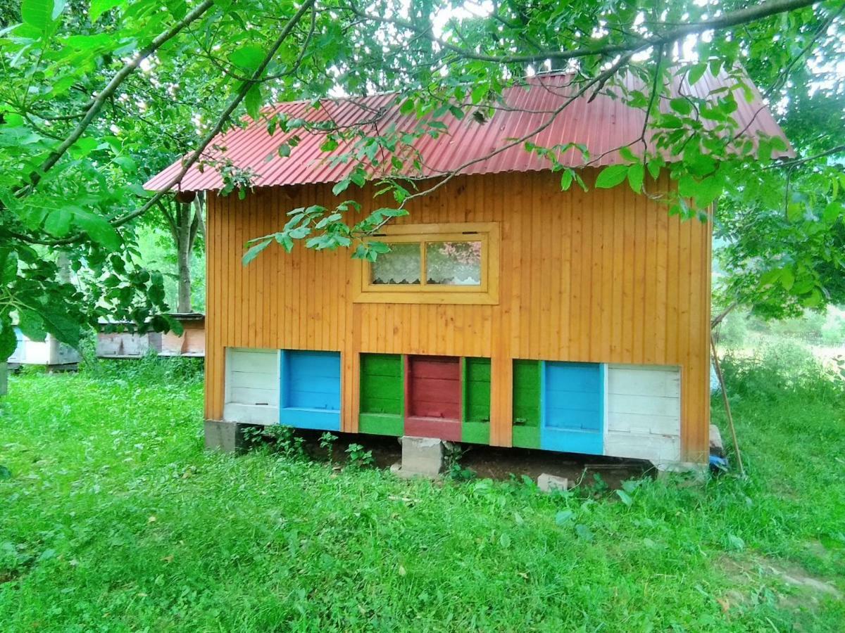 Відпочинок У Карпатах, Мінеральні Ванни, Банний Чан! Verkhnyaya Bystra Exterior foto